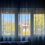 Sunny * Τίρανα